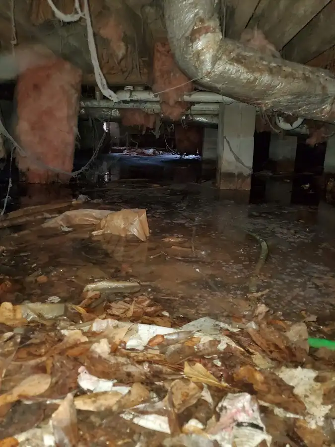 Crawl space flood assessment for Leak Detection & Repair in Godley