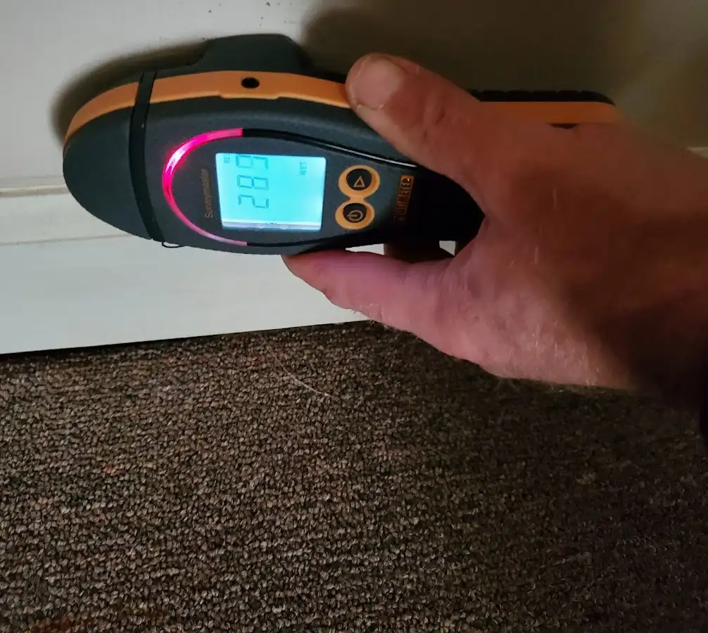 Moisture detection at baseboard during Mold Inspection & Testing in Godley