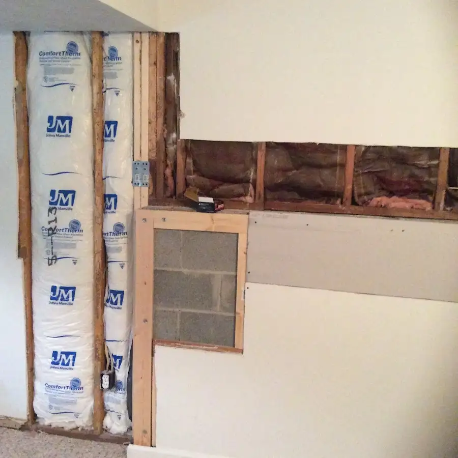 Wall insulation replacement during Basement Flood Cleanup in Godley